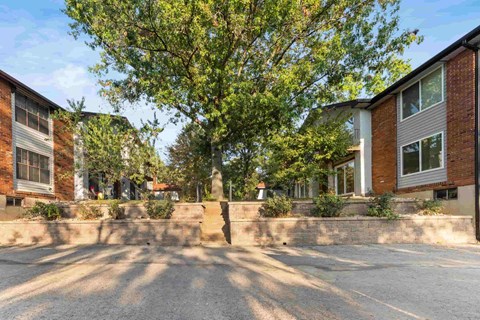 A tree in front of a building with a brick wall.