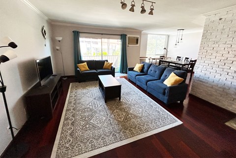A living room with a rug and two couches.