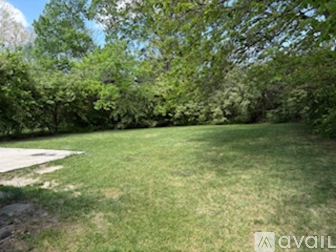 A grassy area with trees in the background.