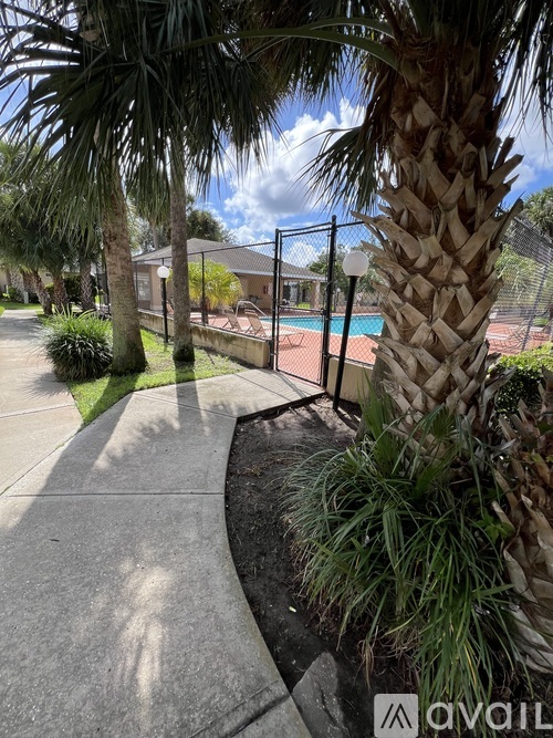 A palm tree stands in front of a pool.
