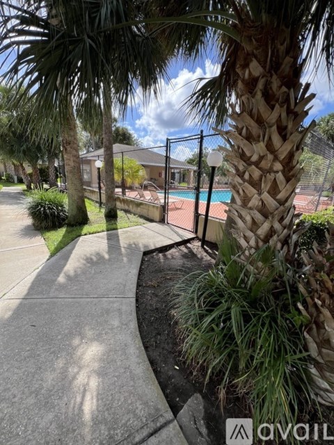 A palm tree stands in front of a pool.