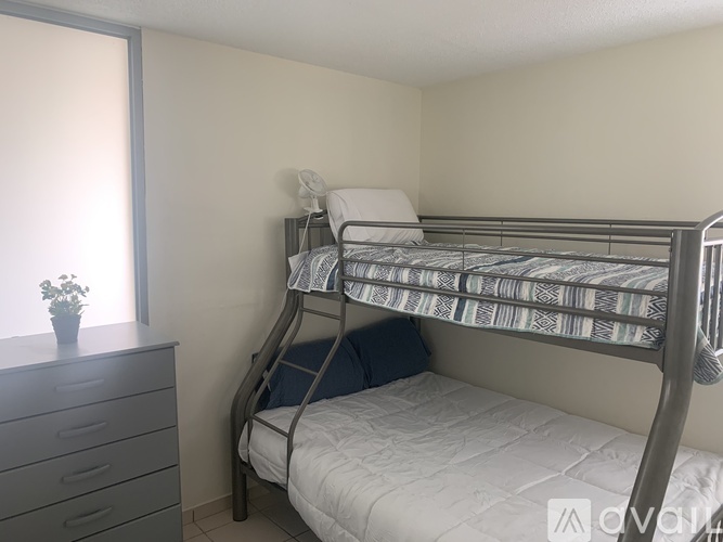 A bedroom with a bunk bed and a dresser with a plant on top.