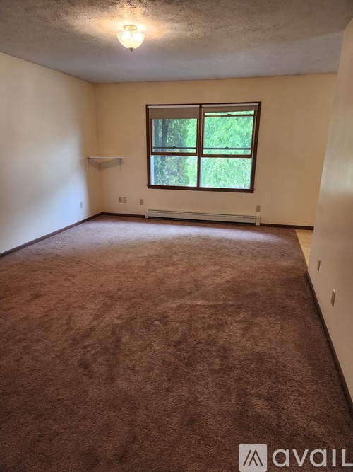 A room with a brown carpet and a window showing greenery outside.