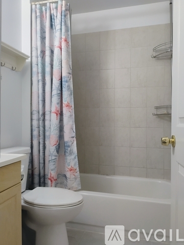 A bathroom with a toilet, a shower curtain, and a shower caddy.