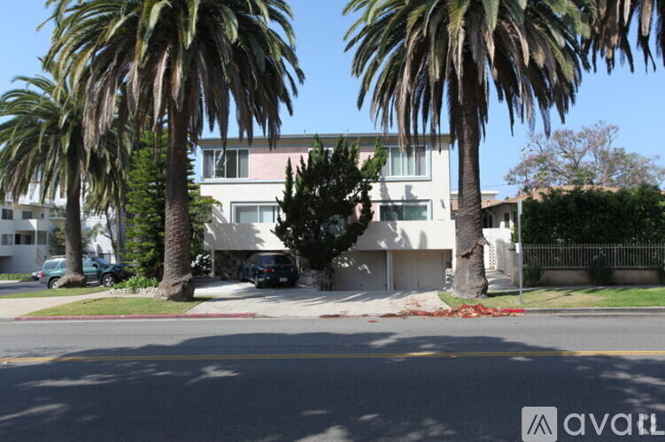 A street view with palm trees and a white building.