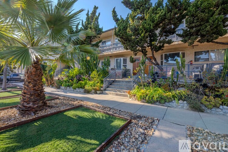 A palm tree is in the front yard of a house.