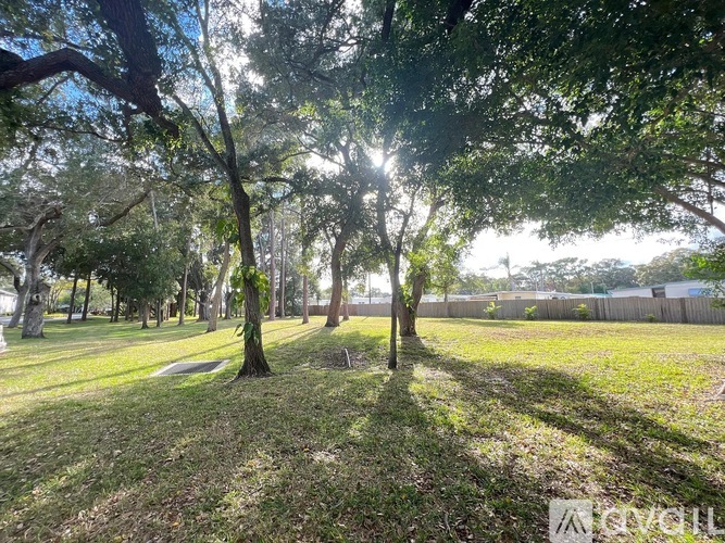 A sunny day in a park with trees and grass.