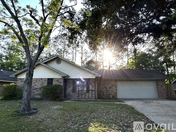 A house with a tree in front of it is bathed in sunlight.