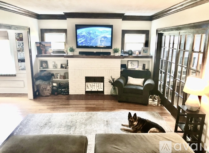 A dog lays on a rug in a living room with a television and a fireplace.
