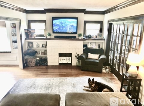 A dog lays on a rug in a living room with a television and a fireplace.