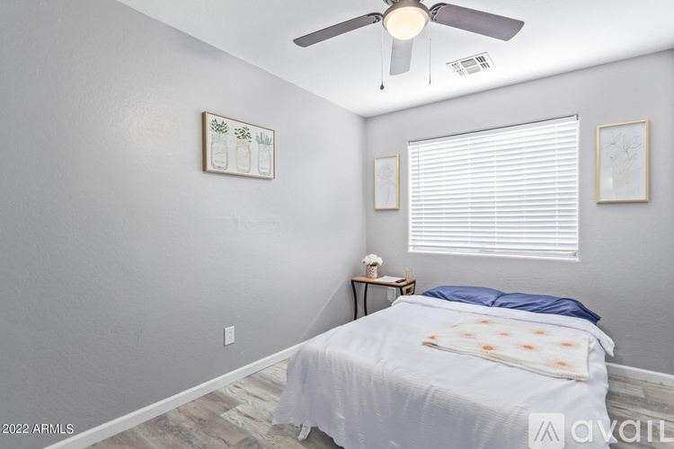 A bedroom with a bed, a ceiling fan, and a nightstand with a lamp.