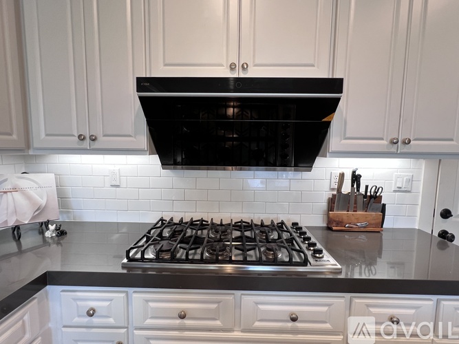 A black and white kitchen with a stove top oven.