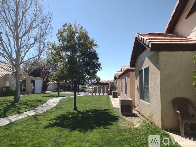 A tree in a grassy area in front of a house.