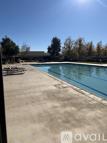 A sunny day at the pool with chairs and trees in the background.
