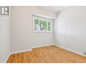 A room with a window showing trees outside.