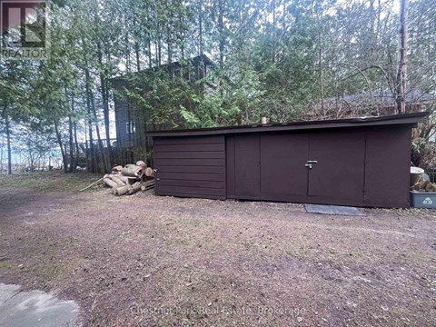 A brown shed sits in a yard with trees in the background.