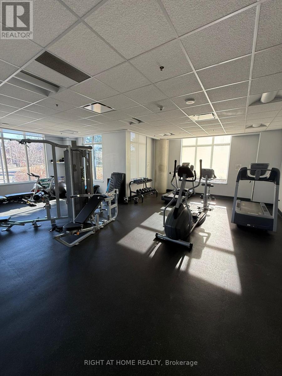 A gym with a row of treadmilers and elliptical machines.