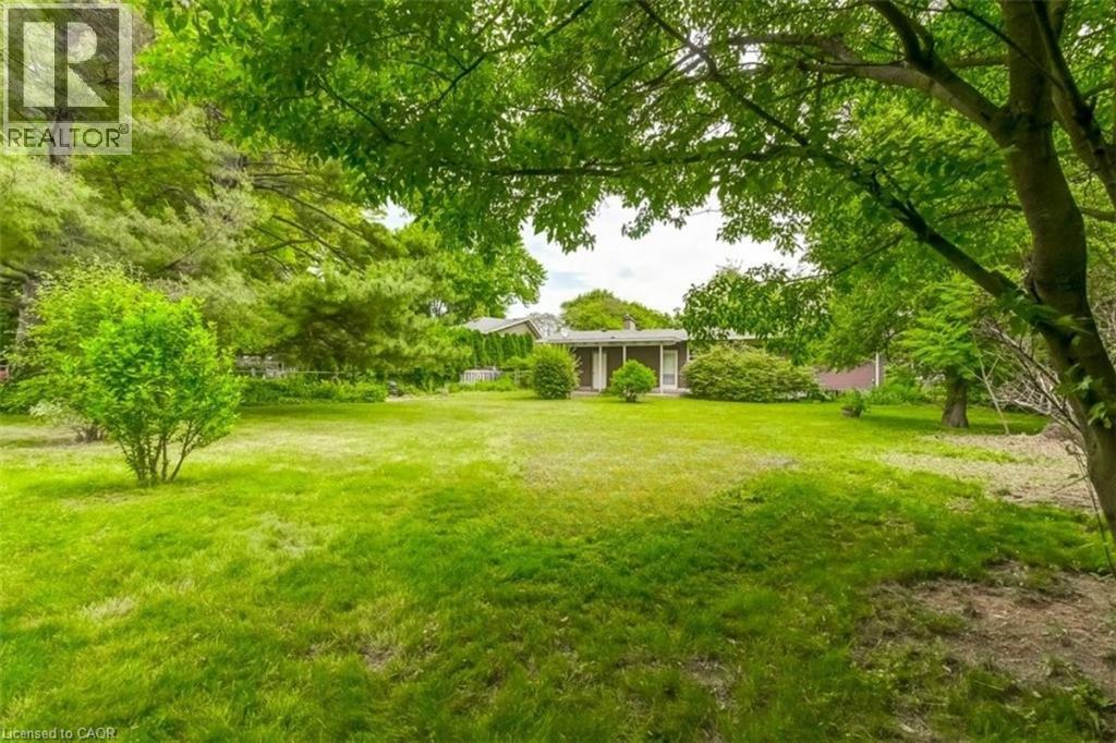 A lush green lawn with a house and trees in the background.