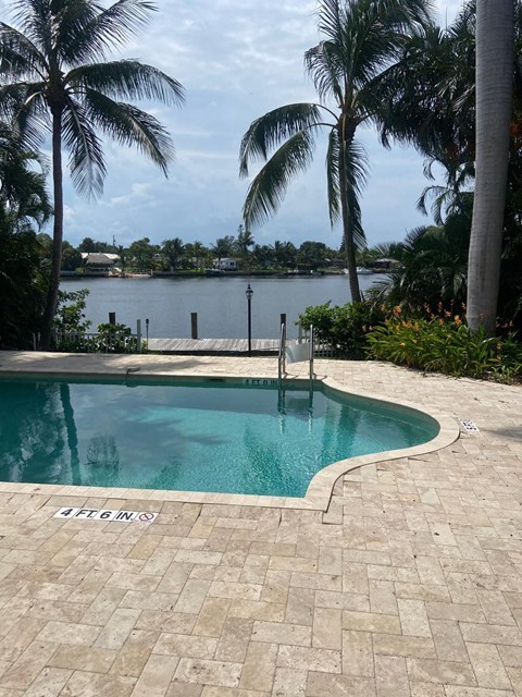 A pool surrounded by palm trees and a view of the water.