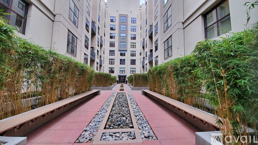 A long red pathway leads the eye through a courtyard surrounded by buildings.