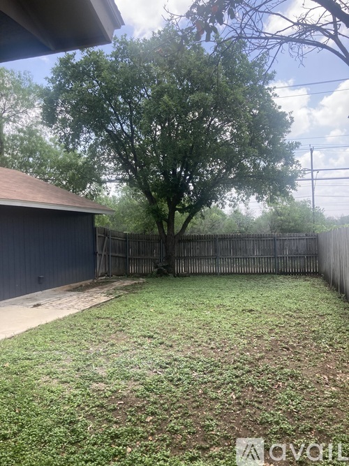 A backyard with a fence and a tree.