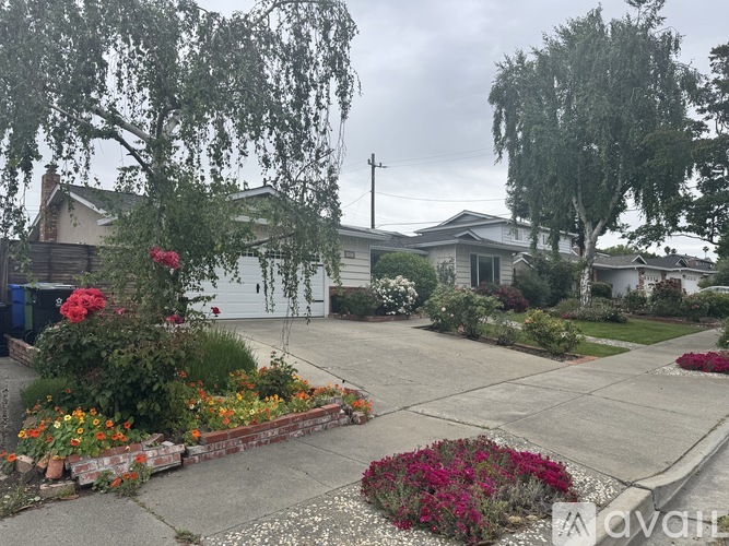 A residential area with houses and a well-maintained garden.