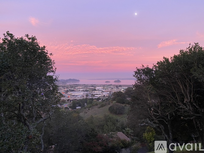 A view of a city from a hill with trees in the foreground and a clear sky.