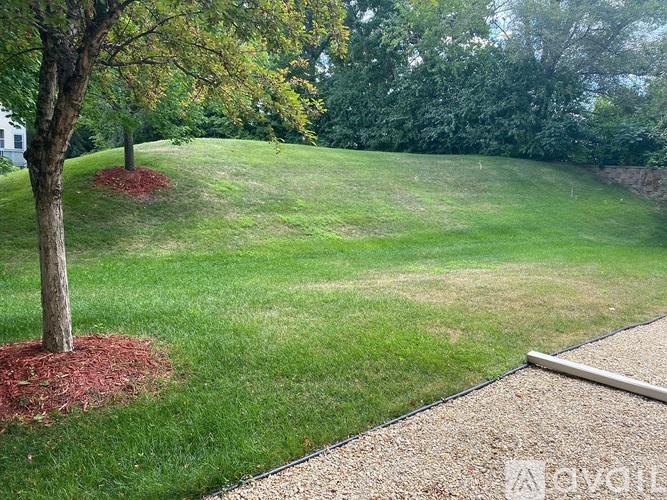A tree with red mulch is in the foreground of a grassy yard.