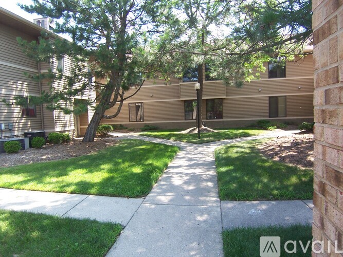 A tree in front of a building with a brick wall on the right.