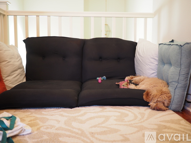 A dog is sleeping on a black couch with a toy in its mouth.