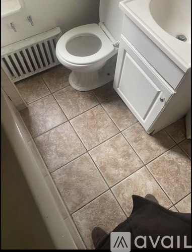 A bathroom with a toilet, sink, and a dog.