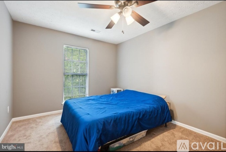 A bedroom with a blue bedspread and a ceiling fan.