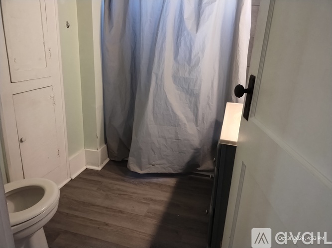 A bathroom with a toilet, a shower curtain, and a wooden floor.