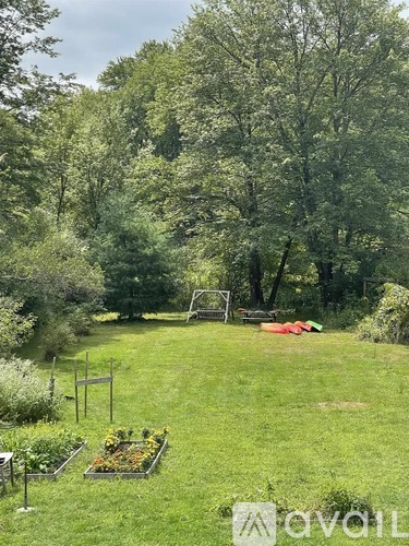 A garden with a variety of plants and trees.