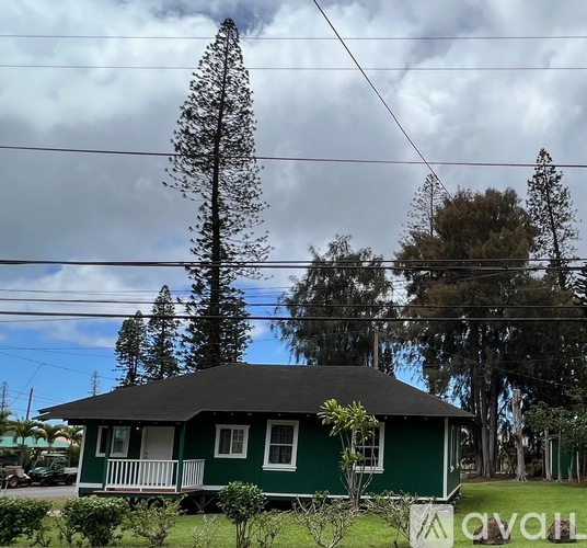 A green house with a porch and a tall tree in the background.