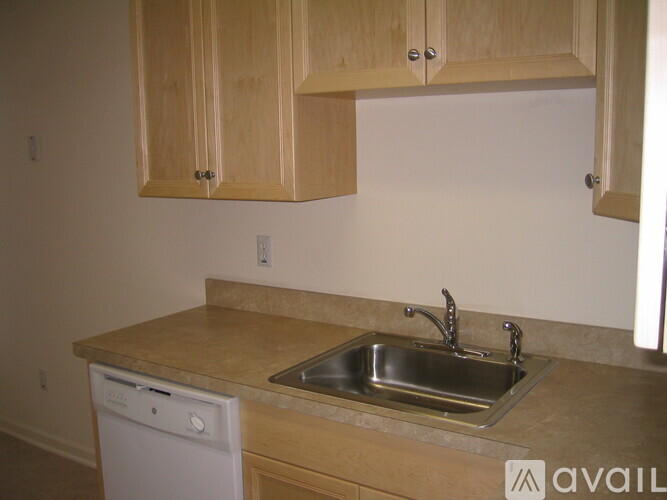 A kitchen with a sink and a dishwasher.