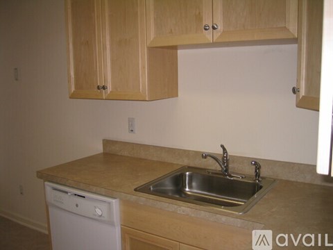 A kitchen with a sink and a dishwasher.