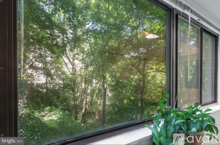 A window with a view of trees outside.