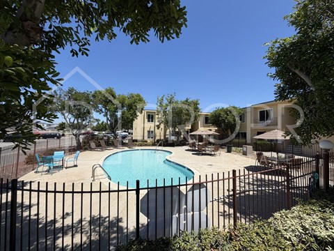 A pool surrounded by a black fence with trees in the background.