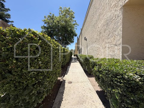 A narrow pathway between two walls covered in greenery.