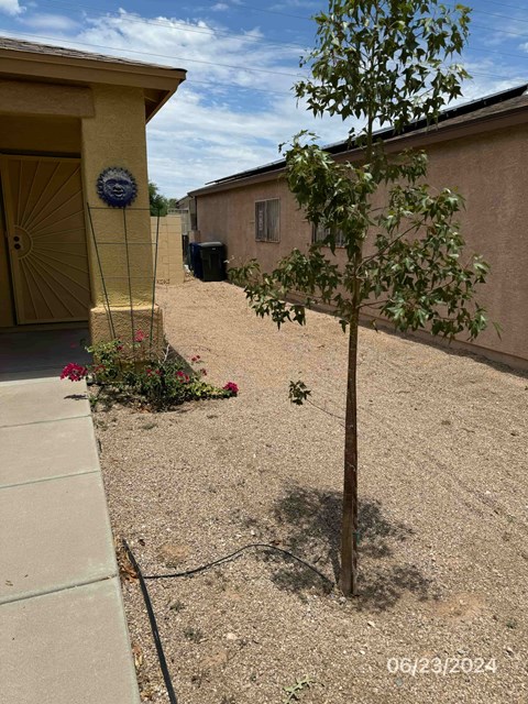 5464 South Via Florena 2 Beds Apartment for Rent