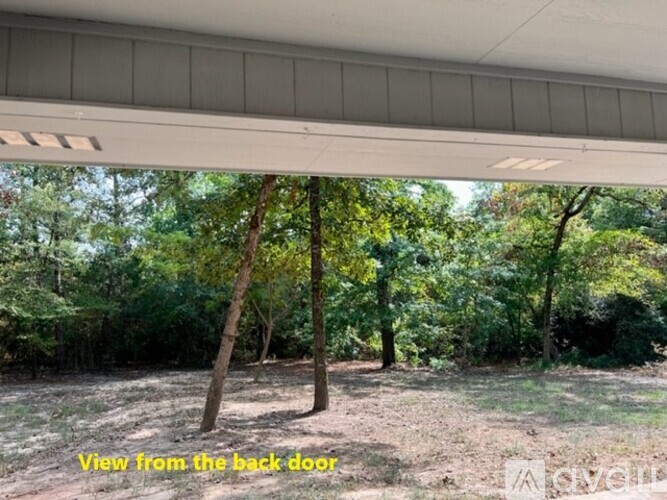 A view from the back door of a building looking out to a wooded area.