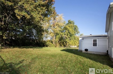 A backyard with a house and trees.