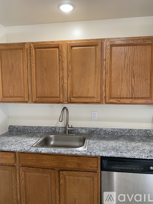 A kitchen with wooden cabinets and a stainless steel dishwasher.