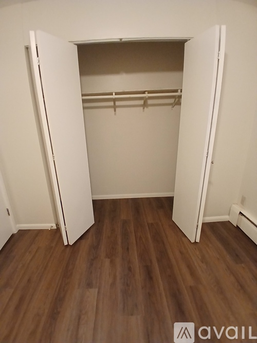 A white closet with wood flooring and a hanging rod.