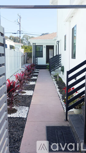 A row of red plants are lined up in a white gravel area.