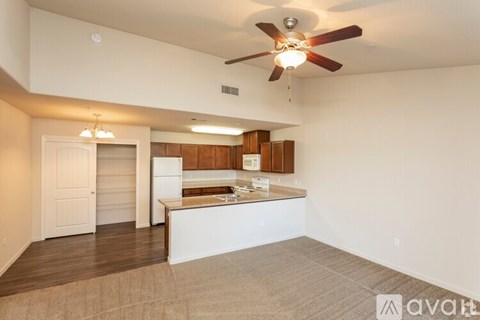 A living room with a kitchen in the background and a carpet on the floor.