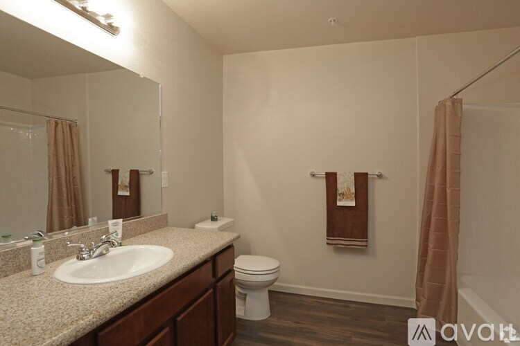 A bathroom with a sink, toilet, and shower curtain.