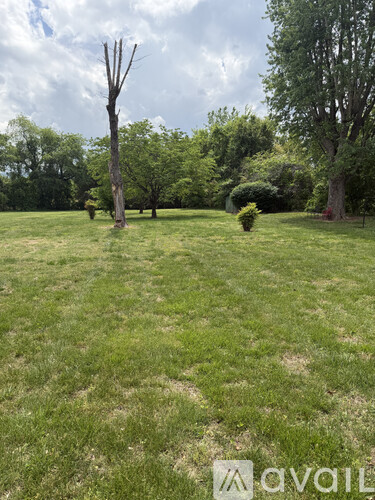 A grassy field with trees and a cloudy sky.