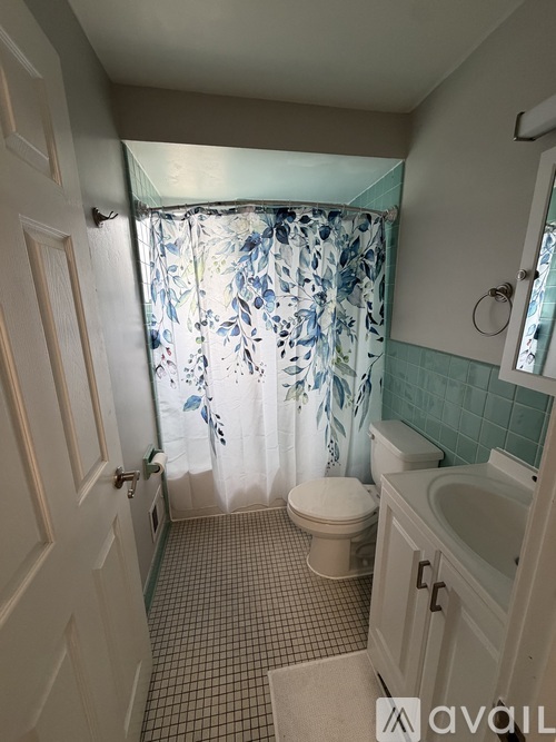 A bathroom with a toilet, sink, and shower curtain.